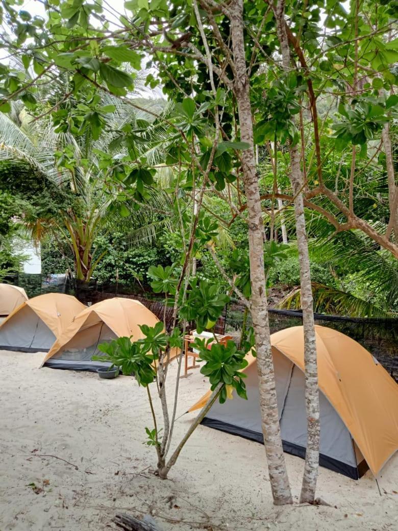 Redang Campstay מראה חיצוני תמונה